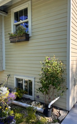 Guest review image 2 of 4, zoom in