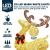 Joiedomi 3D Christmas Reindeer and Outdoor Sleigh Yard Light 2 Pcs Christmas Outdoor Decorations - 3 of 4