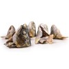 Scout & Zoe's: Trout Heads - 6oz Dog & Cat Treats, Freeze Dried Fish, Crunchy - 4 of 4