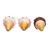 Kurt Adler Officially Licensed Glass Ice Cream Mini-Ornaments 9-Piece Set - 4 of 4