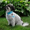 Pavilion Gift Company - Lake - 12" x 8" Canvas Slip on Pet Bandana - Pet Apparel Accessories - 4 of 4