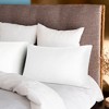 2 Pcs 300 Thread Count 100% Cotton Fabric Comfortable Pillowcase - PiccoCasa - 4 of 4