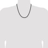 Chisel Stainless Steel Polished Black IP-plated 3mm 20" Rope Chain Necklace - 4 of 4