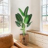 Artificial Tree Bird of Paradise Artificial PlantFaux Plant - 3 of 4