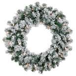 Northlight Pre-Lit Flocked Snow White Artificial Christmas Wreath, 24-Inch, Clear Lights