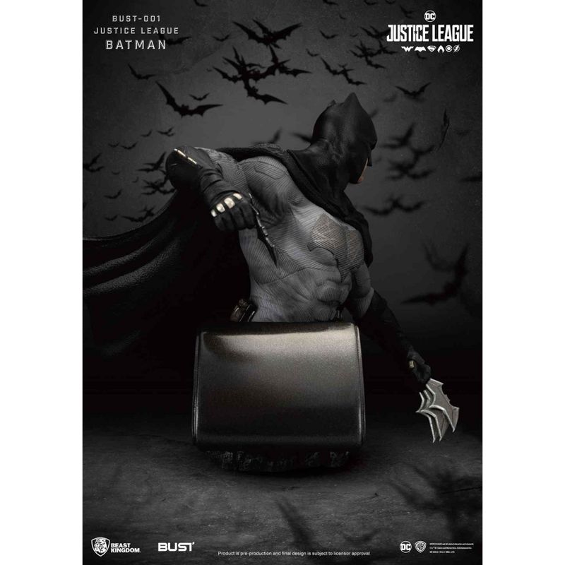 Warner Bros Justice League Series-Batman (Bust), 4 of 8