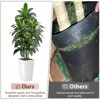 Dracaena Artificial Tree 5ft Tall Pre Potted Dracaena Trees with White Tall Square Planter for Indoor Outdoor Home Office Decor - 4 of 4