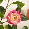 Artificial Camellia Tree with 9 inch White Planter, Tall Fake Camellia Trees with Flowers - 3 of 4