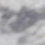 charcoal, gray, taupe, light gray, medium brown