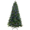 Northlight Real Touch™ Elite Pre-Lit Calgary Pine IPT Artificial Christmas Tree - 12' Dual Color LED - image 3 of 4