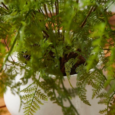 Lush Green Faux Fern Plant in Black Pot, 36"