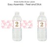 Big Dot of Happiness 2nd Birthday Girl - Two Much Fun - Second Birthday Party Water Bottle Sticker Labels - Set of 20 - 2 of 4