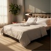 T-250 White Blended 10 MM Satin Stripe Bed Sheets By Rifz Textiles - 4 of 4