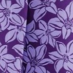 purple blossom