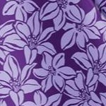 purple blossom