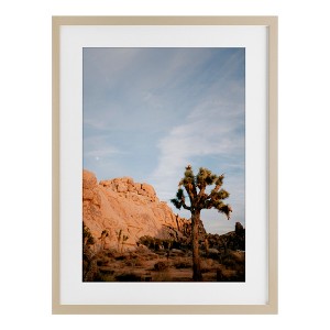 Stupell Industries Joshua Tree & Canyon Framed Print Under Glass Art - 1 of 4