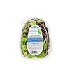 organicgirl Protein Greens Spring Mix Plus - 5oz - 3 of 4
