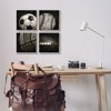 Stupell Industries Sports Balls Photography, 12" x 12" (Set of 4) - 2 of 4
