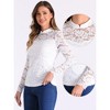 Allegra K Women's Semi Sheer Lace Long Sleeve Round Neck Work Casual Vintage Top - 2 of 4