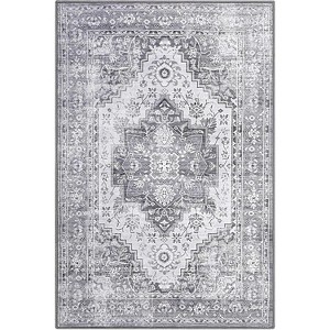 Acekool  Rug - Machine Washable Non-Slip Indoor Carpet for Living Room & Bedroom - 1 of 4