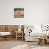 Stupell Industries Foal Horse Lounging Flower Meadow, 24" x 24" - 2 of 4