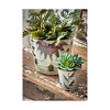 TAG Large Potting Poinsettia Design Indoor/Outdoor Garden Planter - 2 of 2