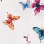white butterflies