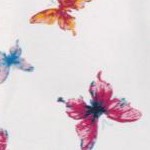 white butterflies