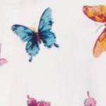 white butterflies