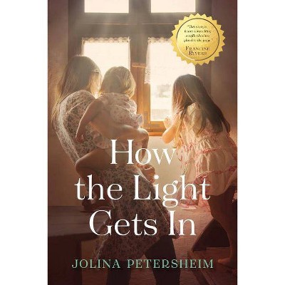 How the Light Gets in - by  Jolina Petersheim (Paperback)