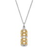 Black Bow Jewelry Sterling Silver & Gold Tone Cylinder Ash Holder Necklace, 18 Inch - 2 of 4