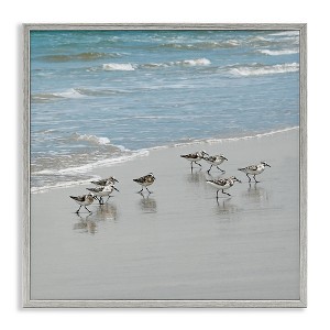 Stupell Industries Sandpipers Flock Sandy Beach Shore Framed Giclee Art - 1 of 4