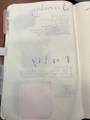 Guest review image 2 of 2, zoom in