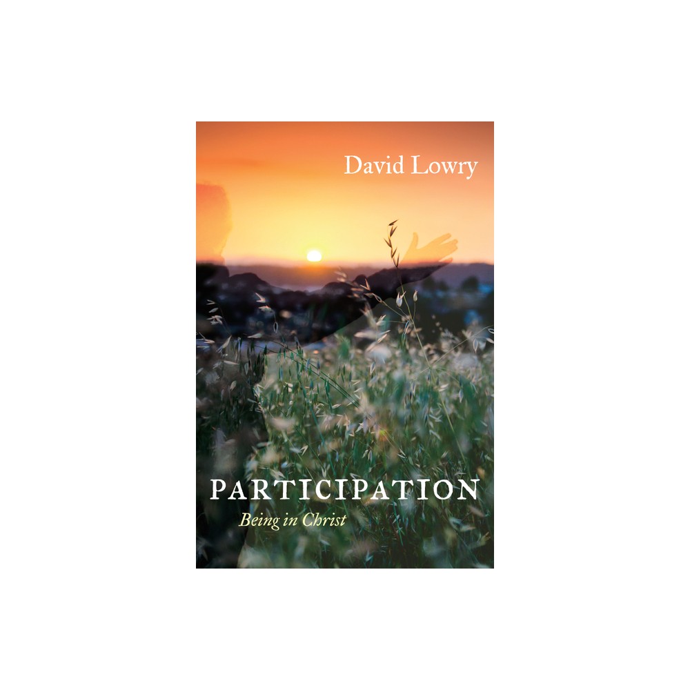 Participation - by David Lowry (Hardcover)