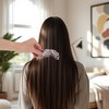 Unique Bargains Semicircular-shape Hair Comb 1 Pc - 4 of 4