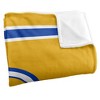 Albany State University Primary Logo Stripes Silky 50x60 Blanket, 1 Sided - 3 of 4