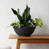 Bloem Terra 12" Diameter Resin Planter Bowl with Optional Knockout Drainage for Indoor and Outdoor Gardening - 2 of 4