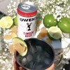 Owen’s Craft Mixers | Ginger Beer | Handcrafted in the USA with Premium Ingredients | Vegan & Gluten-Free Soda Mocktail and Cocktail Mixer - 2 of 3