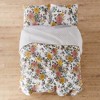 Briar Quilt and Pillow Sham Set - Levtex Home - 4 of 4