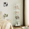 Hooseng Display Cabinet with Glass Doors, 4-Tier Curio Cabinet with Lock and Wheels, Floor Standing Storage Cabinet with 3 Acrylic Shelves - 2 of 4