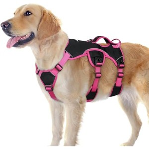rabbitgoo Escape Proof Dog Harness Large Dogs, Soft Padded Full Body Pet Harness,Walking Hiking Training, Pink & Black, L - 1 of 1