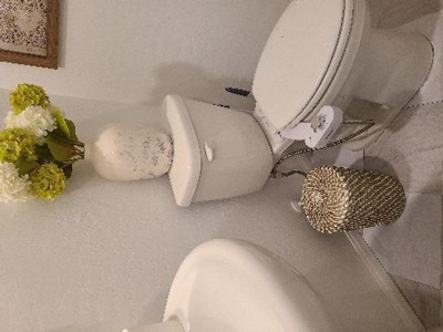 Guest review image 1 of 1, zoom in