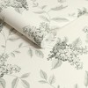 Laura Ashley Portland Fern Wallpaper - 3 of 4