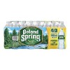 80 Pack Poland Spring 100% Natural Water, 16.9oz Bottle - 4 of 4