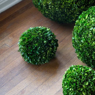 Park Hill Collection Preserved Boxwood Ball 10"