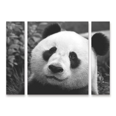 Trademark Fine Art SD Smart Giant Panda 3 Piece Panel Set Art