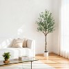 Coucheta 5/6/7ft Artificial Olive Tree with Planter, Realistic Faux Potted Plant with Fruits for Home Office Indoor Decor, Green - 3 of 4