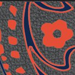illinois fighting illini