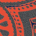 illinois fighting illini
