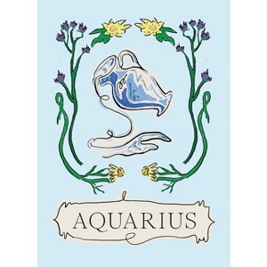 Aquarius - (Planet Zodiac) by  Liberty Phi (Hardcover) - 1 of 1